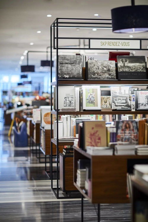 rdv時(shí)間 北京 李敬澤 李壯 劉詩宇 拉松沒有馬,評論不是家