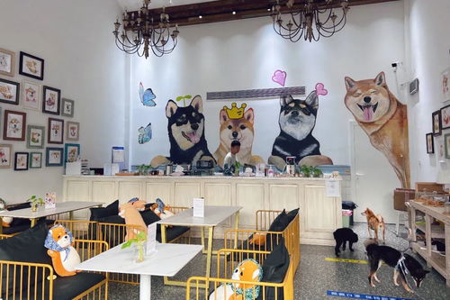 身邊的美學空間 蘇州這幾處公共文化體驗空間，文藝小資且充滿藝術靈感